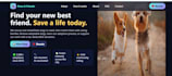 create a responsive HTML website for your business
