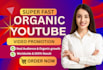 do organic you tube video promotion