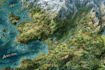 draw fantasy map illustration isometric map