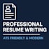 write a job winning professional resume