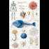 make highly customised medical and anatomy illustrations