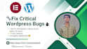 fix critical wordpress bugs with free revisions