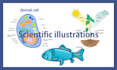design science and biology diagrams and illustrations
