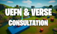 provide experienced uefn and verse development consultation