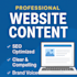 write professional and SEO optimized website content