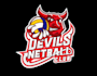 design a custom premium mascot volleyball team logo