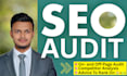 do professional SEO audit, competitor analysis, and website optimization