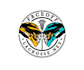 design a professional modern lacrosse logo