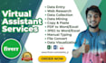 do your data entry and  excel work with accuracy