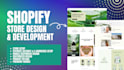 make 6 figure shopify dropshipping store or shopify website