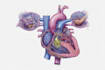 make highly customised medical and anatomy illustrations
