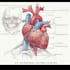 draw exercise, medical and anatomy illustrations