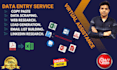 do data entry, web research, and lead generation