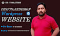build a custom wordpress website, theme or plugin