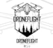 design professional drone logo