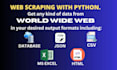 do web scraping, python web scraping, data scraping excel and browser automation
