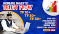 increase majestic trust flow