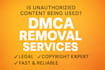 send dmca takedown notice to google,shopify, tiktok