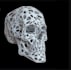 do 3d lattice model parametric, engineering drawing ,human animal lattice model