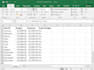 do data entry, excel, business analysis, translation
