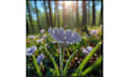 beautiful flower views background