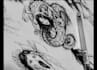 draw dark tattoo design