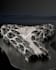 parametric conceptual from your idea