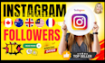 do premium quality american instagram page followers