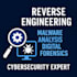 provide reverse engineering, binary analysis, and digital forensic