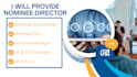 provide professional offshore nominee director and shareholder service