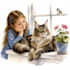 watercolor children book illustrations and children book illustration