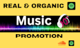 do organic promotion for your spotify, soundcloud, or youtube tracks