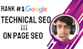 do in depth technical SEO audit and optimization