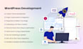 develop a custom wordpress theme or plugin