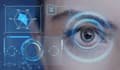 build an object detection system using yolo and opencv