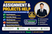 do excel assignments, formulas, charts, data analysis and reports