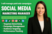 manage and optimize paid ads campaigns for social media marketing