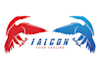 create professional unique falcon bird eagle logo