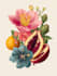 botanical illustration with scientific focus