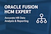 implement, customize and provide support for oracle fusion hcm