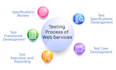 full stack developer software developer python script web automation web program