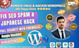 remove virus, hacked wordpress, SEO spam, japanese keywords hack, with firewalls