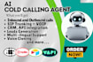 create ai cold calling voice agent for USA, UK business, vapi,  retell ai agent
