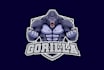 create awesome superhero mascot character and mascot logo