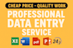 do data entry VA, email collection, lead generation and web research