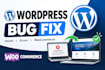 fix wordpress issues, fix wordpress error, wordpress bug fix, fix critical error