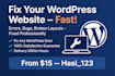 fix wordpress issues, header and nav issues, and all errors within 24 hours