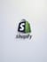 develop expert shopify websites