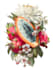 draw botanical and animal designs and patterns for you