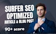 professional surfer SEO optimized content writing service